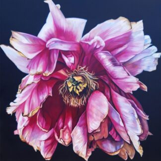 A vibrant painting of a large, pink peony with detailed petals against a dark background. By Greer Ralston